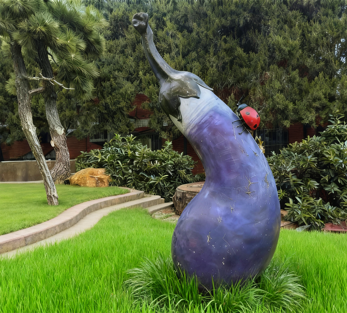 植物类：紫茄 2.5米