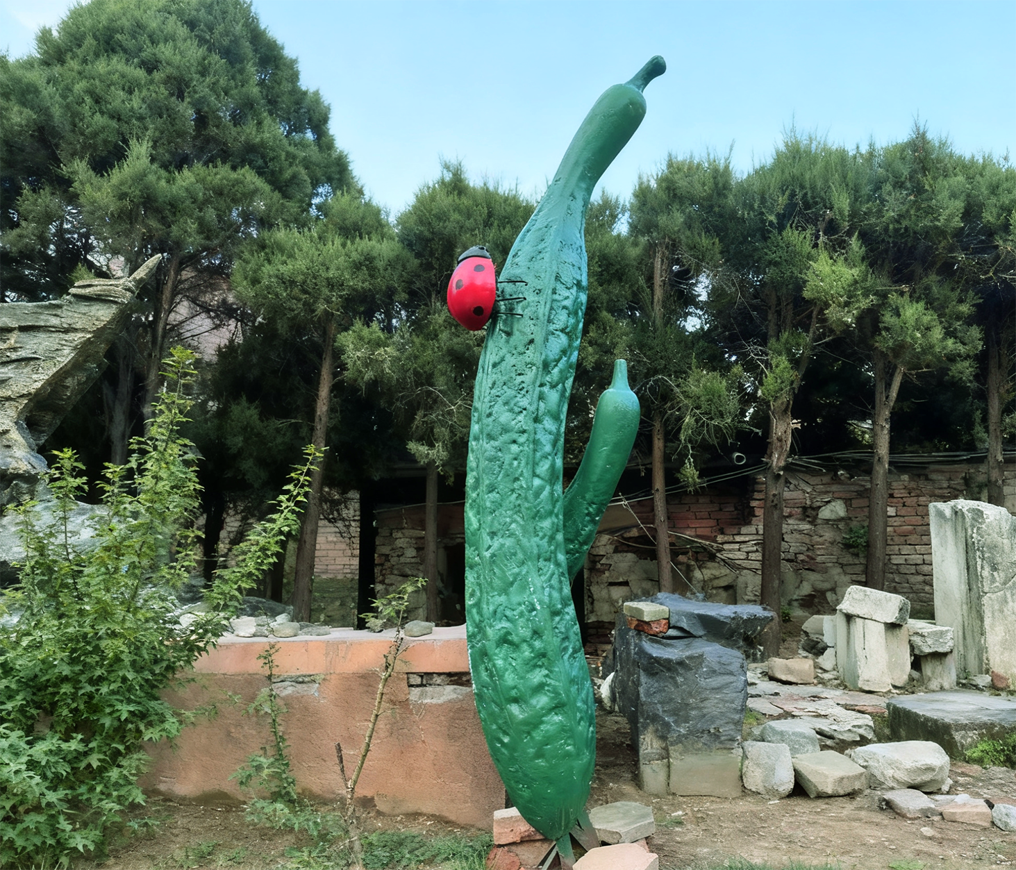 植物类：黄瓜 2.6米