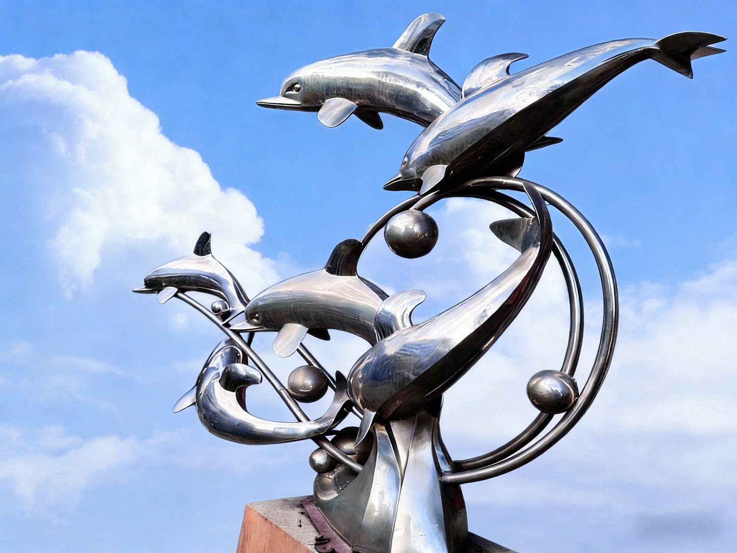 动物类：海豚组合